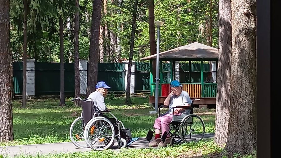 Прогулка на колясках по территории среди деревьев